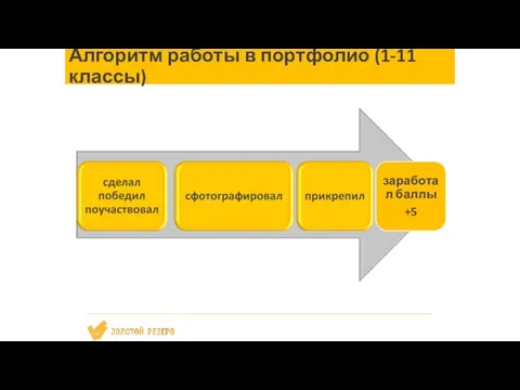 Алгоритм работы в портфолио (1-11 классы)