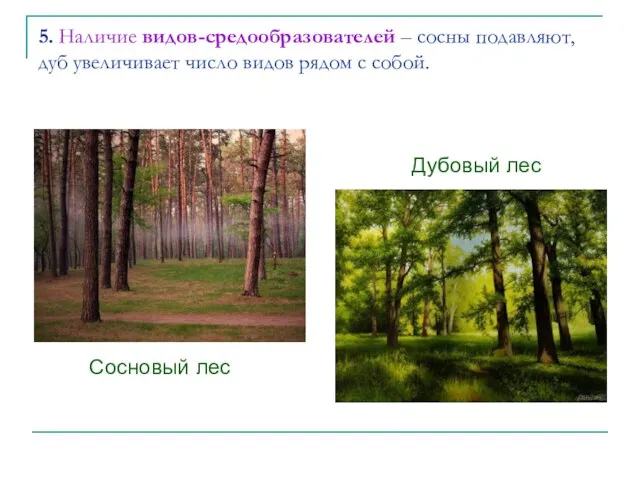 5. Наличие видов-средообразователей – сосны подавляют, дуб увеличивает число видов рядом