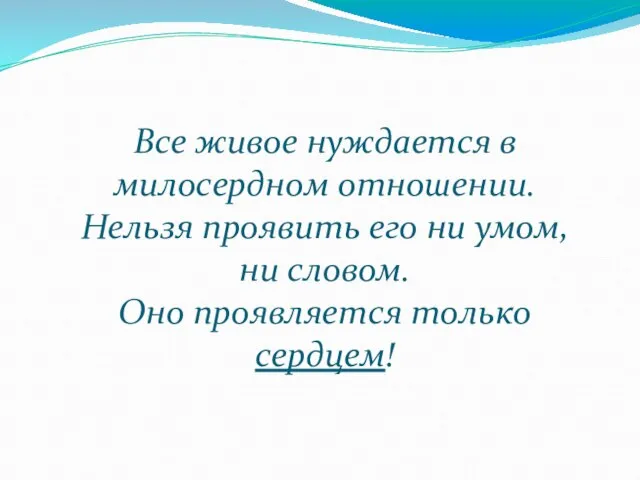 Все живое нуждается в милосердном отношении. Нельзя проявить его ни умом,