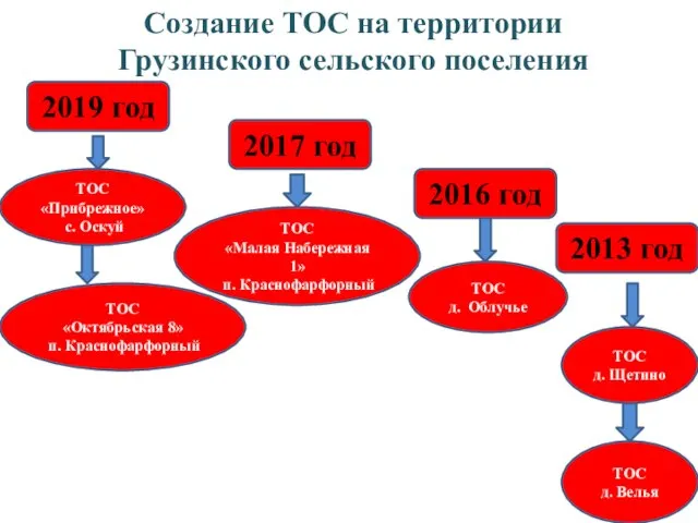 2013 год 2016 год 2019 год 2017 год Создание ТОС на