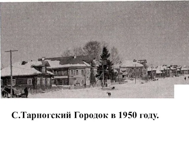 С.Тарногский Городок в 1950 году.