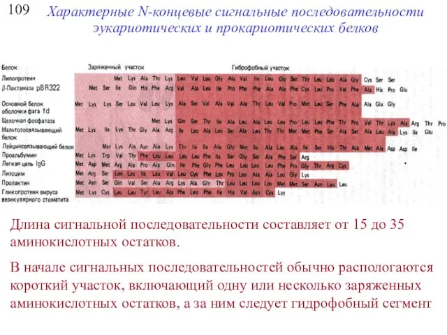 109 Характерные N-концевые сигнальные последовательности эукариотических и прокариотических белков Длина сигнальной