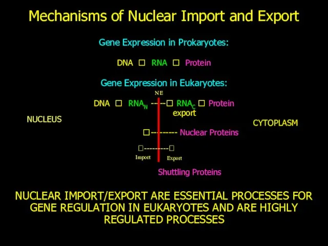 Mechanisms of Nuclear Import and Export Gene Expression in Prokaryotes: DNA