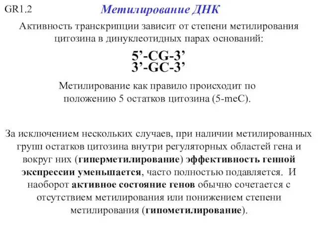 GR1.2 Метилирование ДНК Активность транскрипции зависит от степени метилирования цитозина в