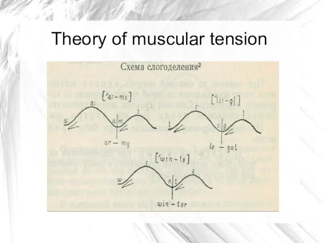 Theory of muscular tension