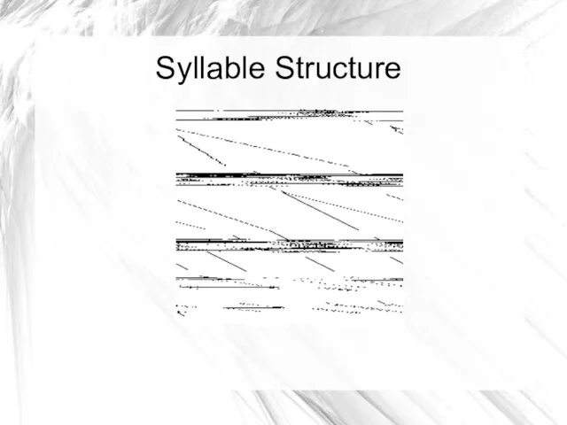 Syllable Structure