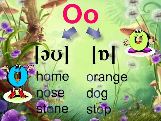 Oo [ɒ] [əʊ] orange dog stop home nose stone