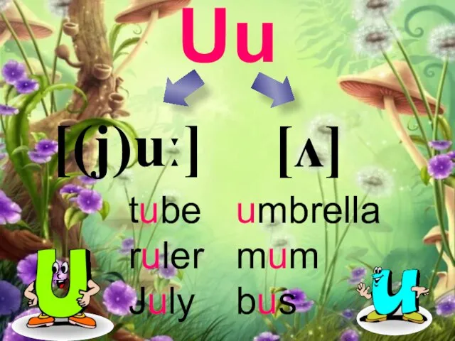 Uu [(j)uː] [ʌ] umbrella mum bus tube ruler July