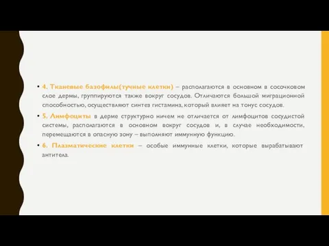 4. Тканевые базофилы(тучные клетки) – располагаются в основном в сосочковом слое