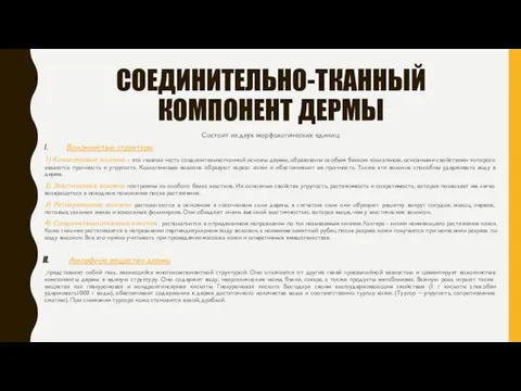 СОЕДИНИТЕЛЬНО-ТКАННЫЙ КОМПОНЕНТ ДЕРМЫ Состоит из двух морфологических единиц: Волокнистые структуры 1)