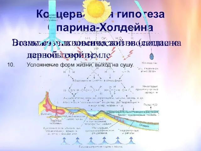 Коацерватная гипотеза Опарина-Холдейна Этапы возникновения жизни (согласно данной теории): Усложнение форм