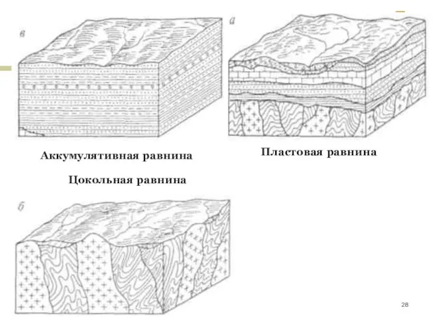 Аккумулятивная равнина Пластовая равнина Цокольная равнина