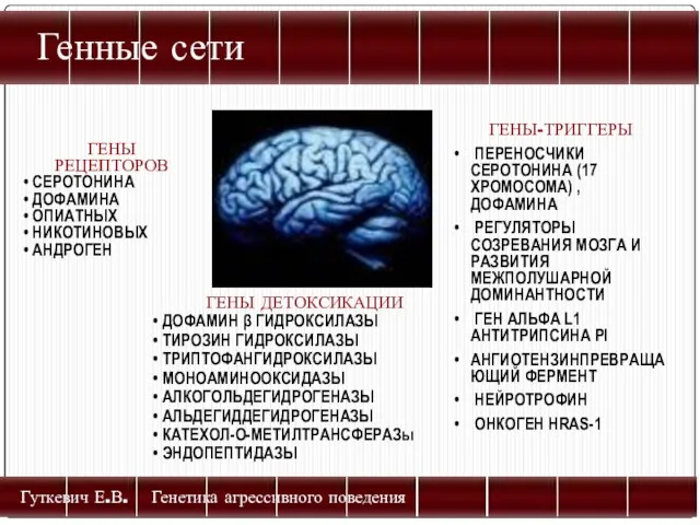 Генные сети Гуткевич Е.В. Генетика агрессивного поведения ГЕНЫ РЕЦЕПТОРОВ СЕРОТОНИНА ДОФАМИНА