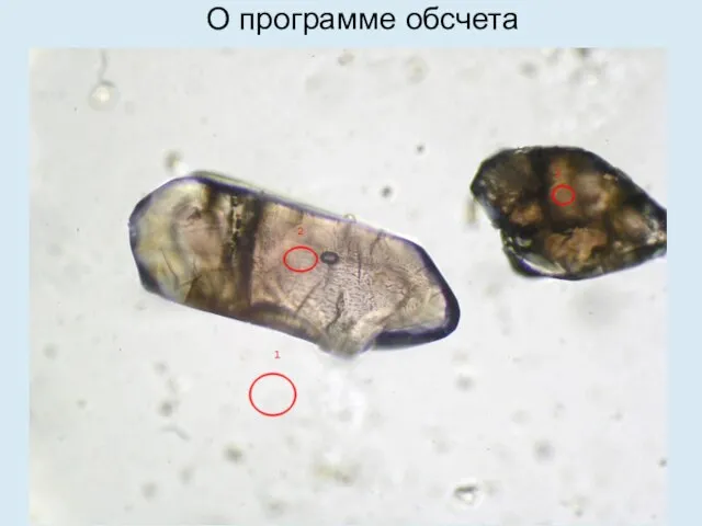 О программе обсчета