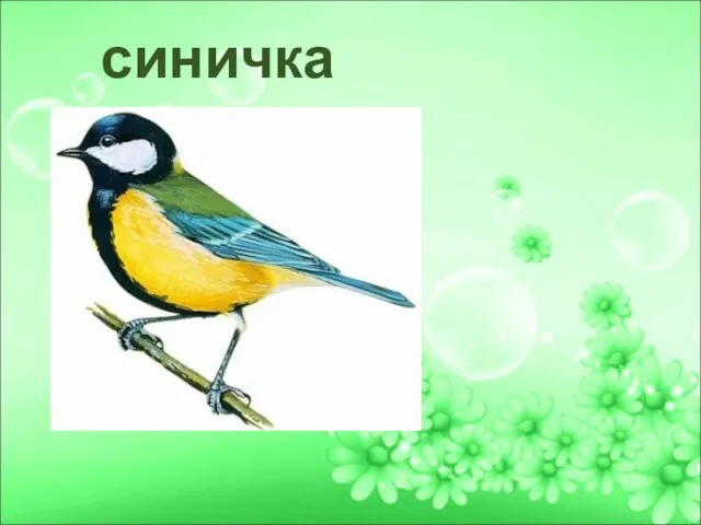 синичка