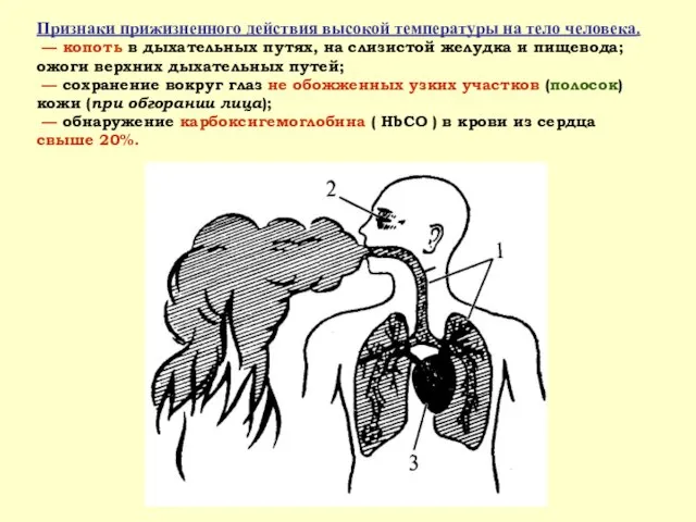 Признаки прижизненного действия высокой температуры на тело человека. — копоть в