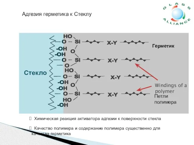 Качество полимера и содержание полимера существенно для качества герметика Адгезия герметика к Стеклу Петли полимера