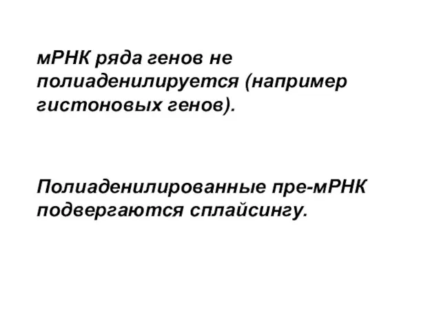 мРНК ряда генов не полиаденилируется (например гистоновых генов). Полиаденилированные пре-мРНК подвергаются сплайсингу.