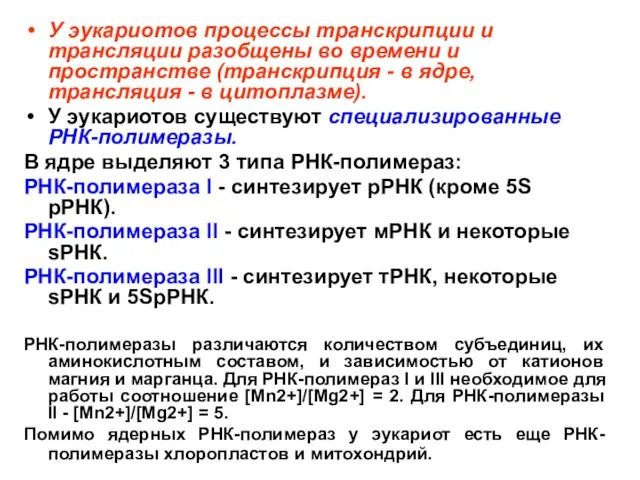 У эукариотов процессы транскрипции и трансляции разобщены во времени и пространстве