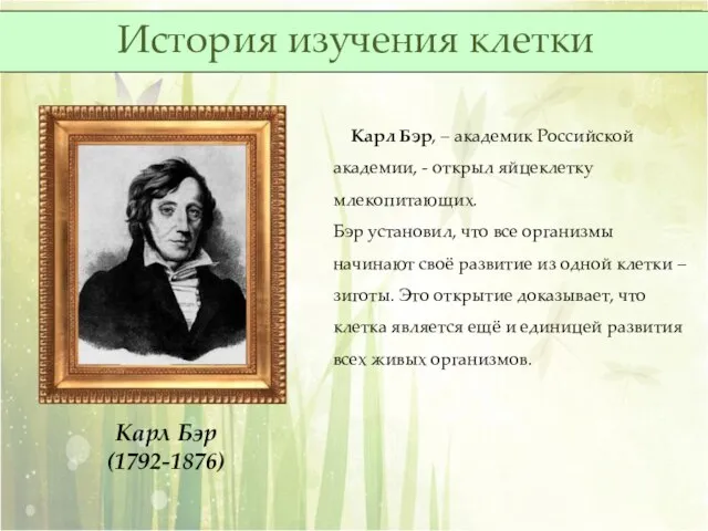 Карл Бэр, – академик Российской академии, - открыл яйцеклетку млекопитающих. Бэр