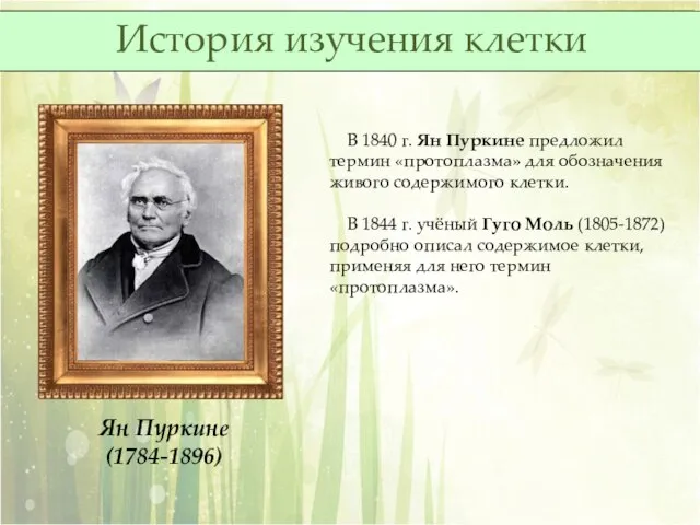 Ян Пуркине (1784-1896) В 1840 г. Ян Пуркине предложил термин «протоплазма»