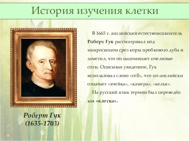 Роберт Гук (1635-1703) В 1665 г. английский естествоиспытатель Роберт Гук рассматривал