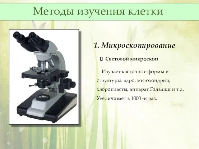 1. Микроскопирование Световой микроскоп Изучает клеточные формы и структуры: ядро, митохондрии,