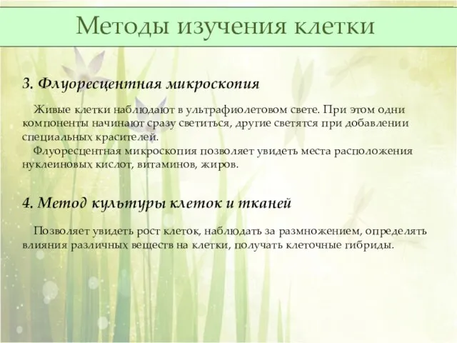 3. Флуоресцентная микроскопия Живые клетки наблюдают в ультрафиолетовом свете. При этом