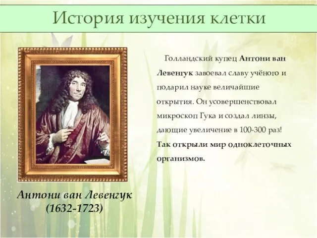 Голландский купец Антони ван Левенгук завоевал славу учёного и подарил науке