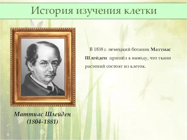 Маттиас Шлейден (1804-1881) В 1838 г. немецкий ботаник Маттиас Шлейден пришёл