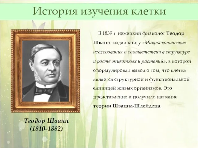 Теодор Шванн (1810-1882) В 1839 г. немецкий физиолог Теодор Шванн издал