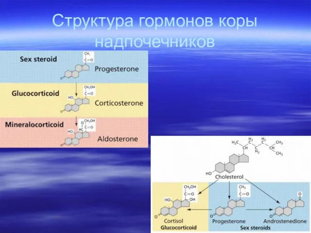 Структура гормонов коры надпочечников