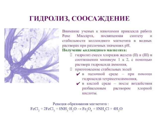 ГИДРОЛИЗ, СООСАЖДЕНИЕ Внимание ученых к нанохимии привлекла работа Рене Массарта, посвященная