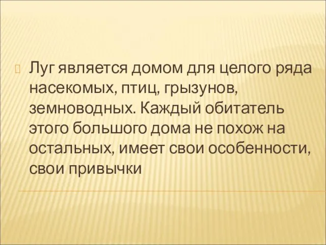 Луг является домом для целого ряда насекомых, птиц, грызунов, земноводных. Каждый