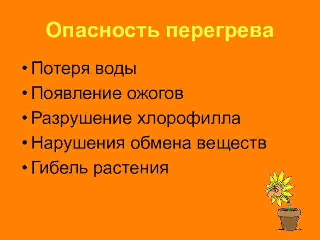 Опасность перегрева Потеря воды Появление ожогов Разрушение хлорофилла Нарушения обмена веществ Гибель растения