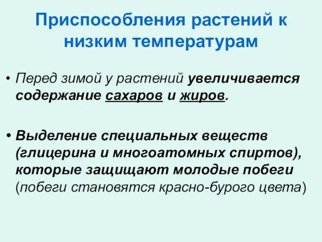 Приспособления растений к низким температурам Перед зимой у растений увеличивается содержание