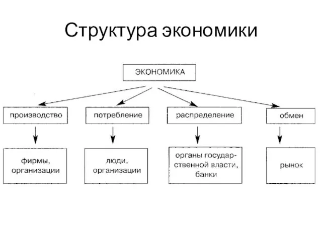 Структура экономики