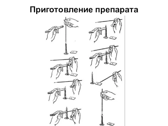 Приготовление препарата