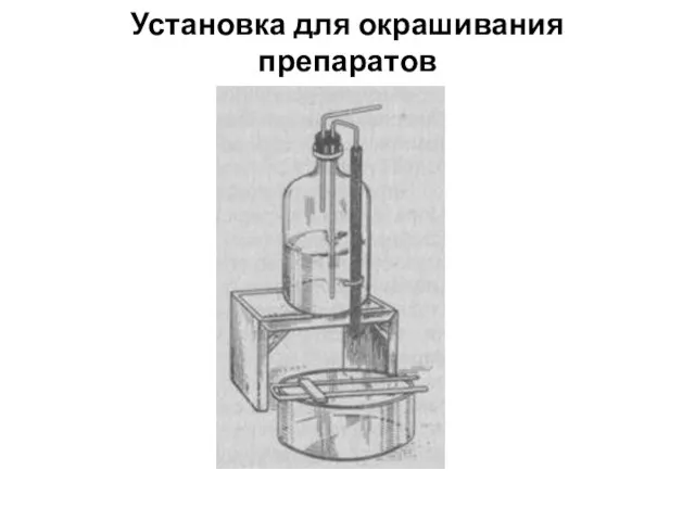 Установка для окрашивания препаратов