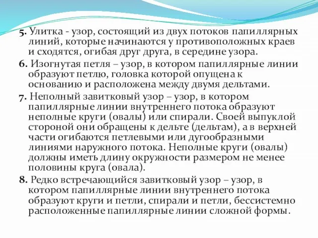 5. Улитка - узор, состоящий из двух потоков папиллярных линий, которые