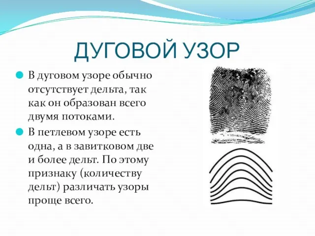 ДУГОВОЙ УЗОР В дуговом узоре обычно отсутствует дельта, так как он