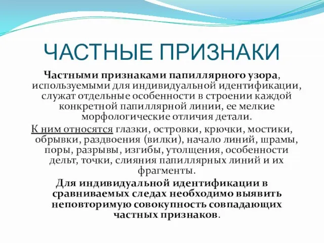 ЧАСТНЫЕ ПРИЗНАКИ Частными признаками папиллярного узора, используемыми для индивидуальной идентификации, служат