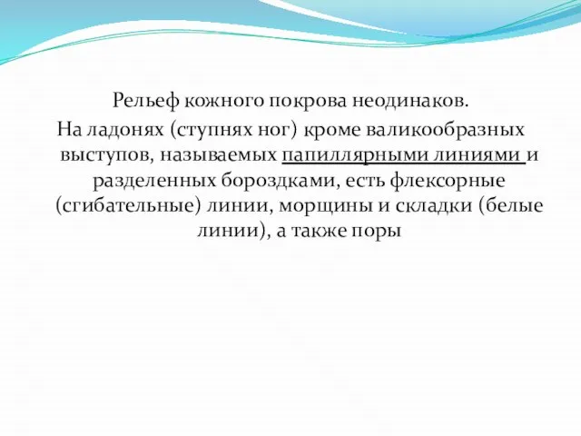 Рельеф кожного покрова неодинаков. На ладонях (ступнях ног) кроме валикообразных выступов,