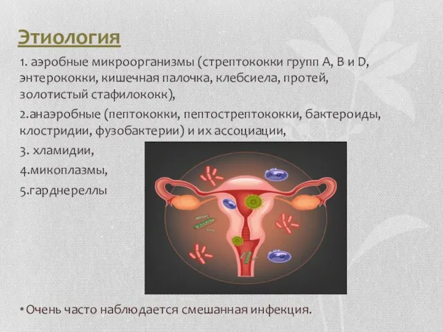 Этиология 1. аэробные микроорганизмы (стрептококки групп А, В и D, энтерококки,