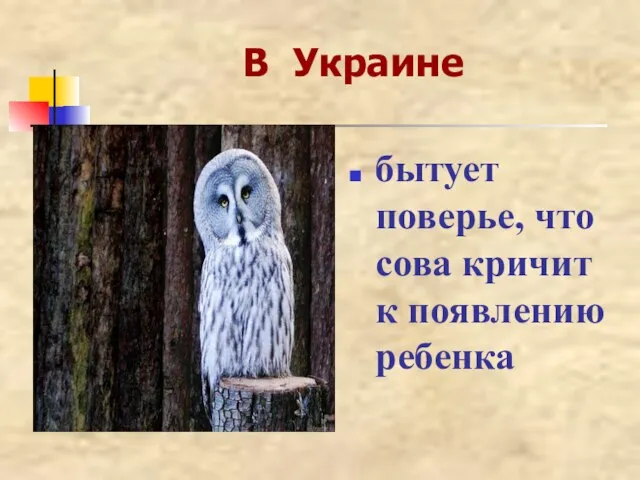 В Украине бытует поверье, что сова кричит к появлению ребенка