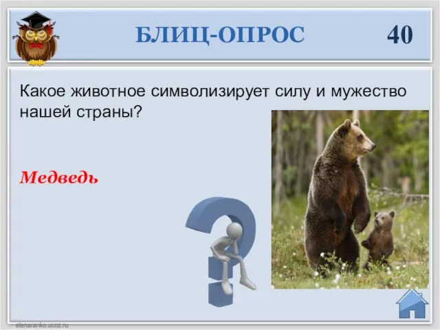 Медведь Какое животное символизирует силу и мужество нашей страны? БЛИЦ-ОПРОС 40