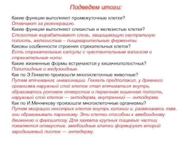 Какие функции выполняют промежуточные клетки? Отвечают за регенерацию. Какие функции выполняют