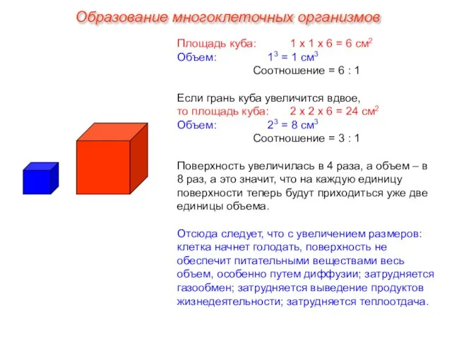 Площадь куба: 1 х 1 х 6 = 6 см2 Объем: