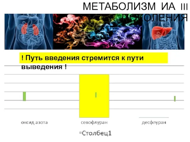 ! Путь введения стремится к пути выведения ! МЕТАБОЛИЗМ ИА III ПОКОЛЕНИЯ