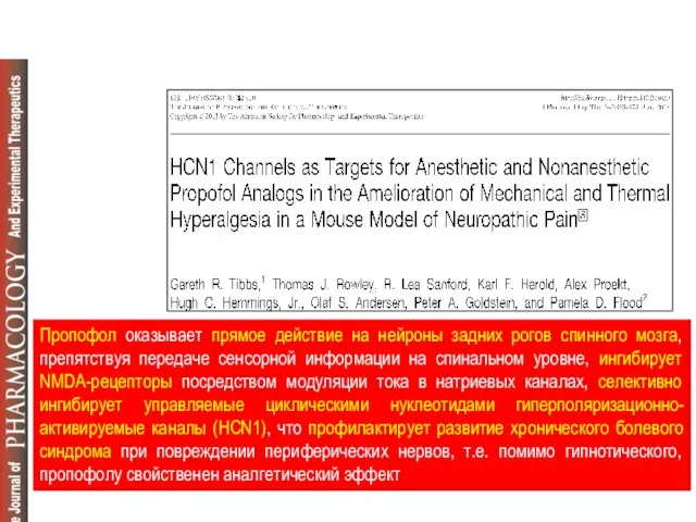 Пропофол оказывает прямое действие на нейроны задних рогов спинного мозга, препятствуя